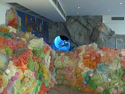 dekoratives Korallenriff