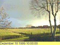 ostfriesische Landschaft im Winter