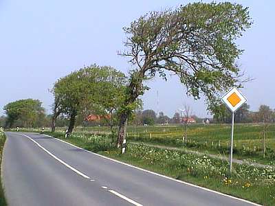 Ostfriesische Landschaft