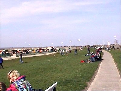 Pfahl der Flutmarken